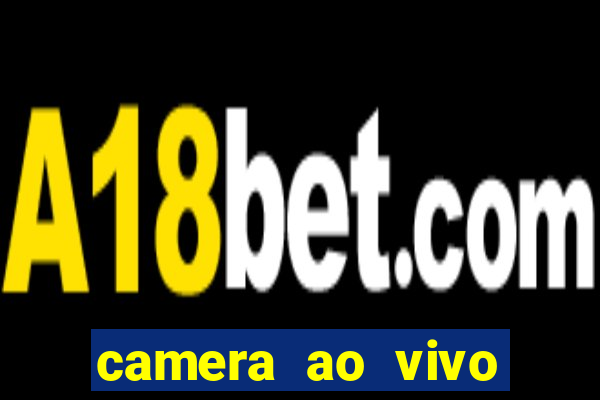 camera ao vivo terminal vila nova cachoeirinha